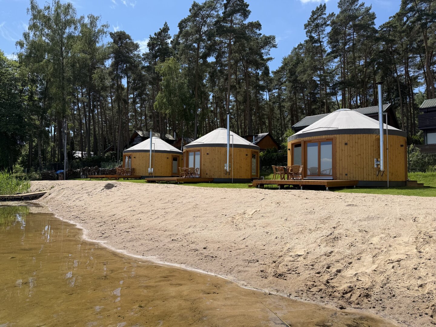 Forest Marina Damian Ludwiczak - 7