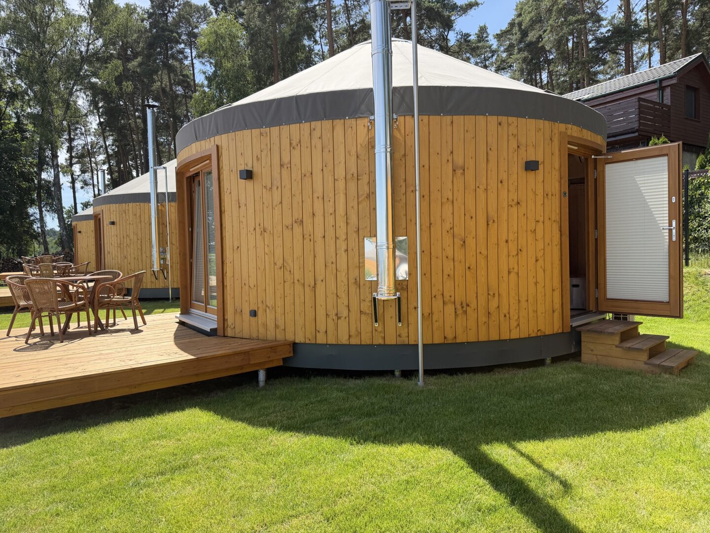 Forest Marina Damian Ludwiczak - 24