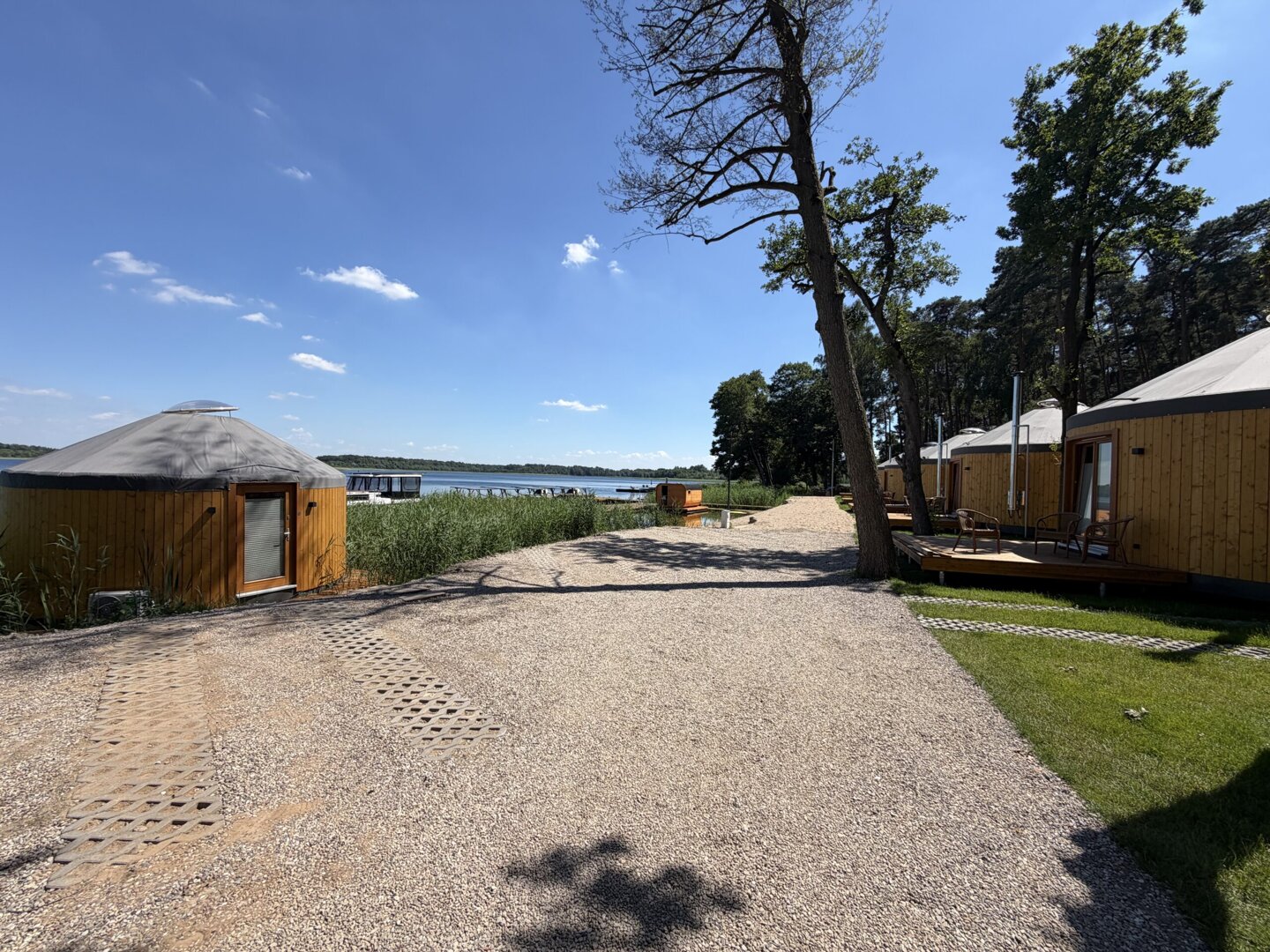 Forest Marina Damian Ludwiczak - 8