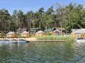 Forest Marina Damian Ludwiczak - 33