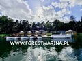 Forest Marina Damian Ludwiczak - 25