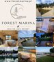 Forest Marina Damian Ludwiczak - 26